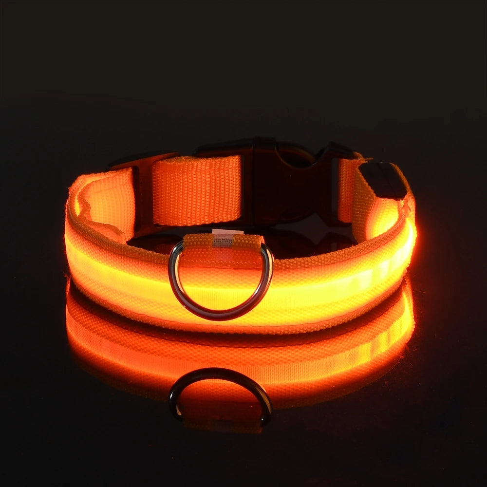 LED Night Safety Dog Leash – Nylon Glow-in-the-Dark Walking Lead for Dogs