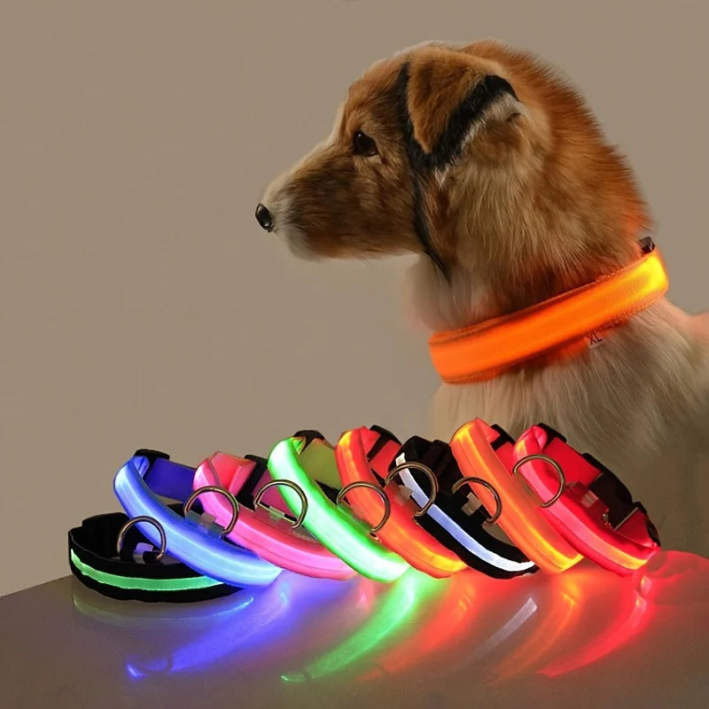 LED Night Safety Dog Leash – Nylon Glow-in-the-Dark Walking Lead for Dogs
