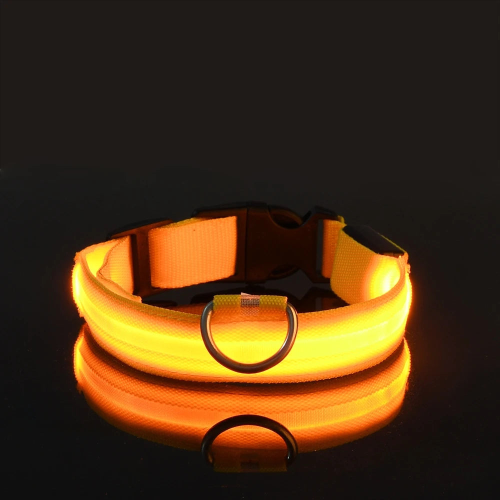 LED Night Safety Dog Leash – Nylon Glow-in-the-Dark Walking Lead for Dogs