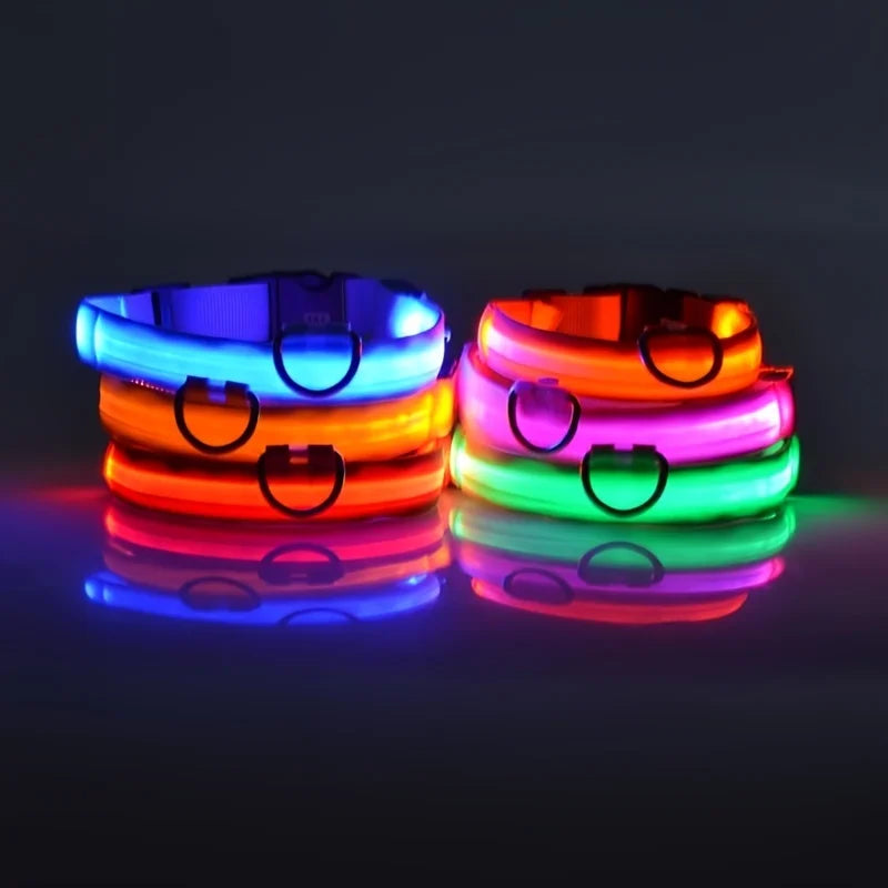 LED Night Safety Dog Leash – Nylon Glow-in-the-Dark Walking Lead for Dogs