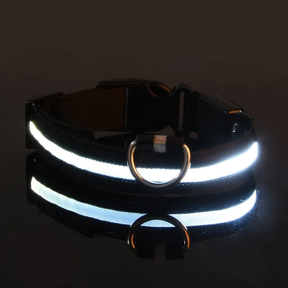 LED Night Safety Dog Leash – Nylon Glow-in-the-Dark Walking Lead for Dogs