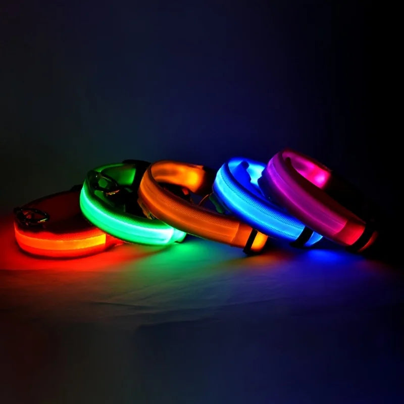 LED Night Safety Dog Leash – Nylon Glow-in-the-Dark Walking Lead for Dogs