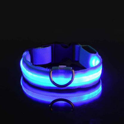 LED Night Safety Dog Leash – Nylon Glow-in-the-Dark Walking Lead for Dogs
