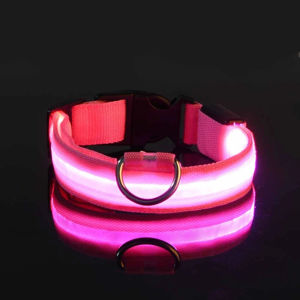 LED Night Safety Dog Leash – Nylon Glow-in-the-Dark Walking Lead for Dogs