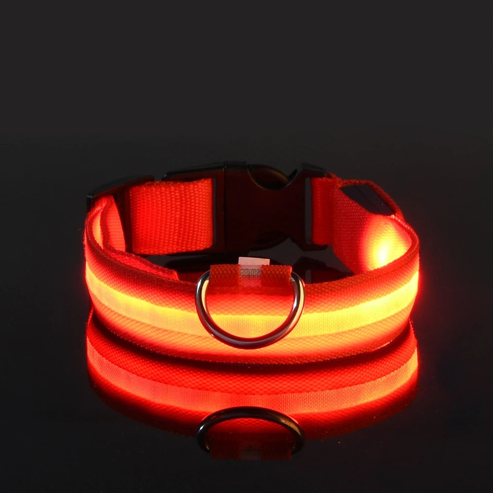 LED Night Safety Dog Leash – Nylon Glow-in-the-Dark Walking Lead for Dogs