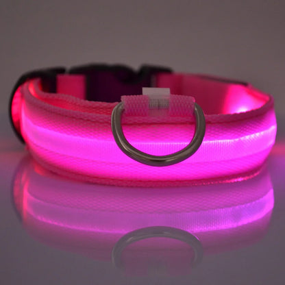 LED Night Safety Dog Leash – Nylon Glow-in-the-Dark Walking Lead for Dogs