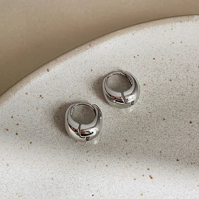 PureSpark Silver Earrings