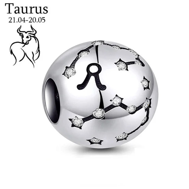 Sterling Silver Zodiac Charm