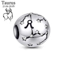 Sterling Silver Zodiac Charm