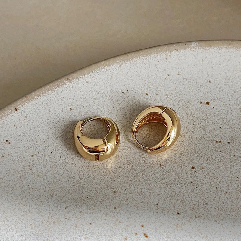 PureSpark Silver Earrings