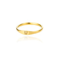 Nova Initial Ring