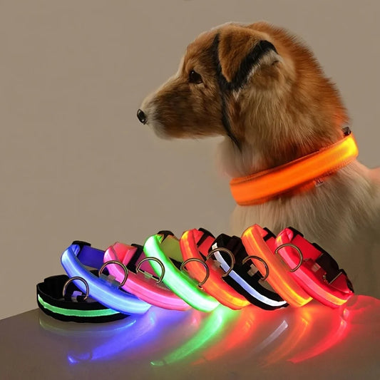 LED Night Safety Dog Leash – Nylon Glow-in-the-Dark Walking Lead for Dogs
