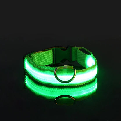 LED Night Safety Dog Leash – Nylon Glow-in-the-Dark Walking Lead for Dogs